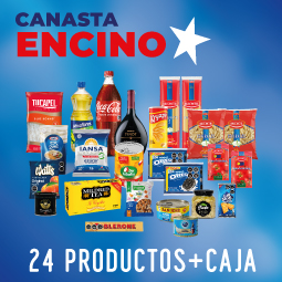 CANASTA ENCINO